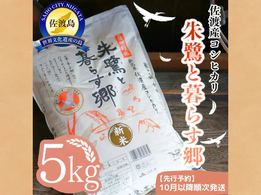 【数量限定】令和7年産・新米!佐渡産コシヒカリ(精米) 「朱鷺と暮らす郷」先行予約受付中!