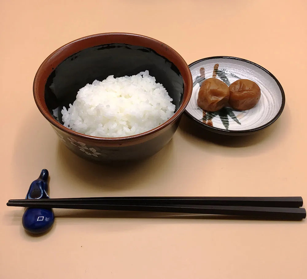 昔ながらの塩っぱい梅干 10パック