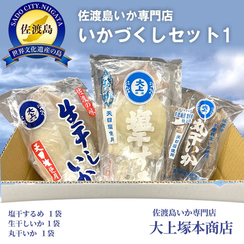 佐渡島いか専門店いかづくしセット1