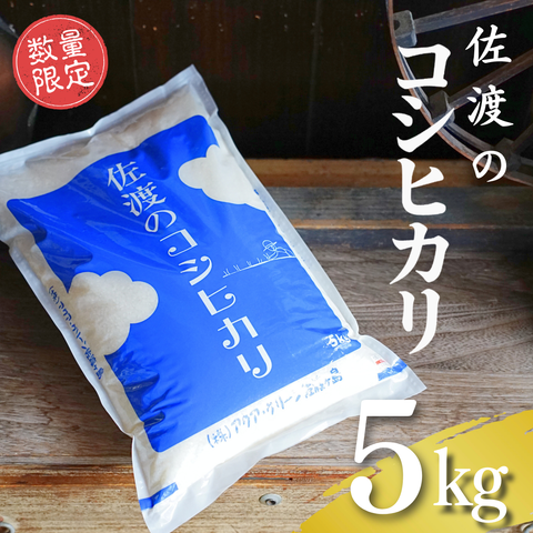 【数量限定】佐渡産コシヒカリ 白米(5kg×1袋)