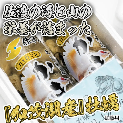 【佐渡加茂湖産】牡蠣むき身500g×2パック