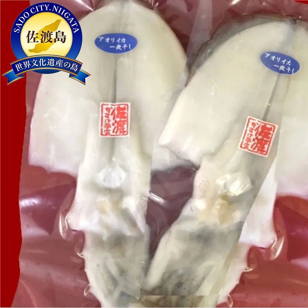 佐渡産アオリイカ一夜干し