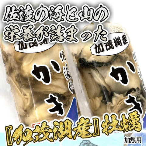 【佐渡加茂湖産】牡蠣むき身300g×2パック