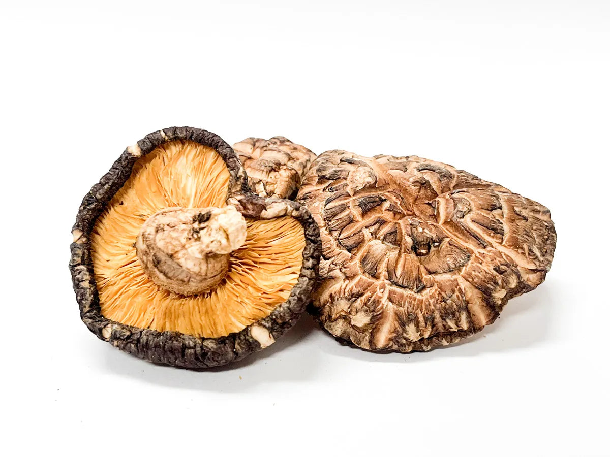 佐渡産 原木乾燥しいたけ 80g×3袋