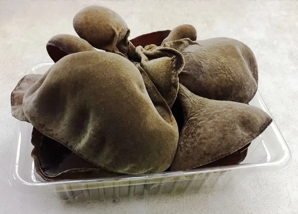 きくらげ(生) 2パック