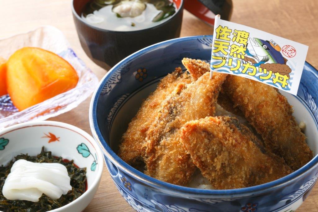 佐渡旅行クーポン券(3,000円分)