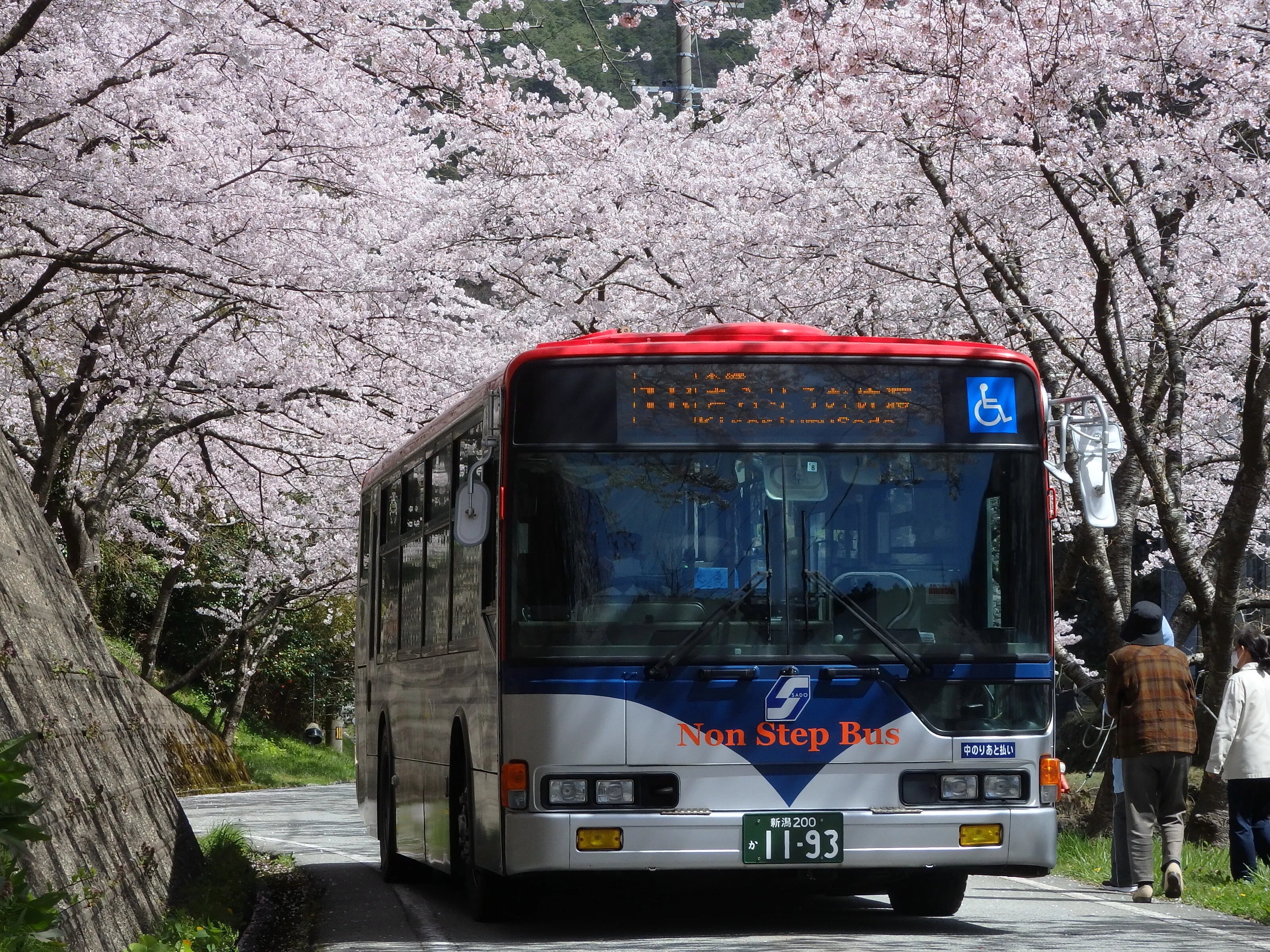 佐渡3dayパス(バス乗り放題dayパス)