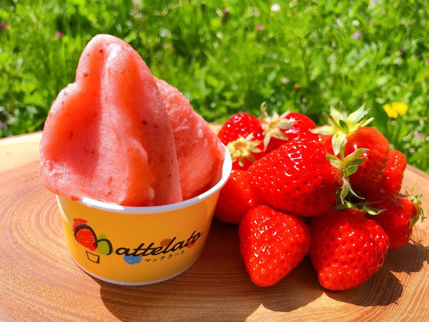 【ふるさと納税】マッテラート おすすめ佐渡島ジェラート6種6個セット詰め合わせ 【 お菓子 ジェラート スイーツ いちご レモンミルク 詰め合わせ 】