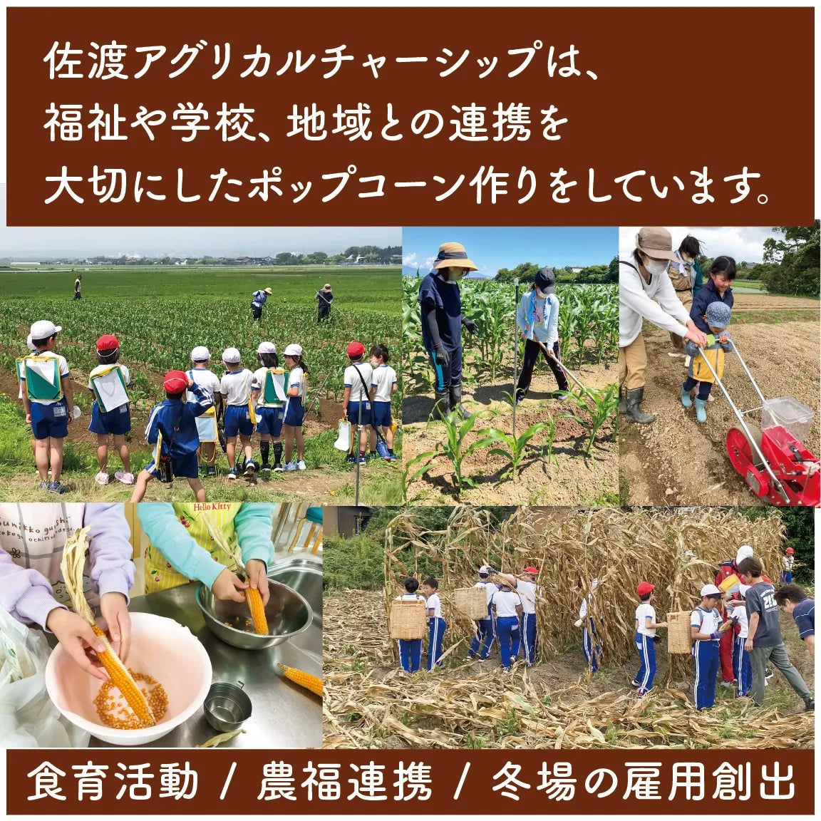 佐渡島産大野さんのポップコーン2種(塩バター・キャラメル)5袋セット