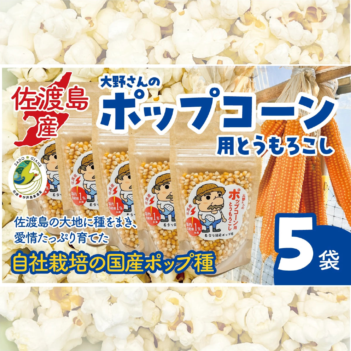 佐渡島産大野さんのポップコーン用とうもろこし180g×5袋入