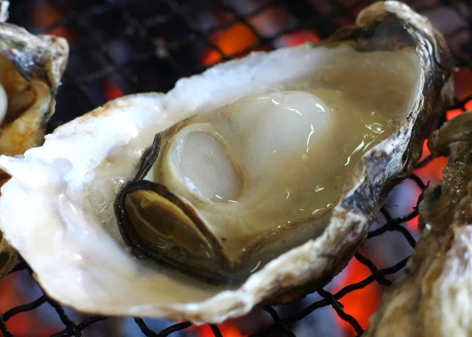 佐渡加茂湖産 一年牡蠣のカンカン焼き(殻付き牡蠣約2kg)