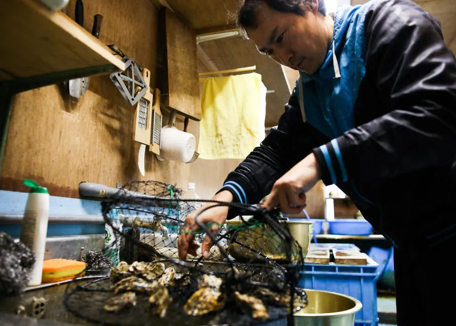 佐渡加茂湖産 一年牡蠣のカンカン焼き(殻付き牡蠣約2kg)