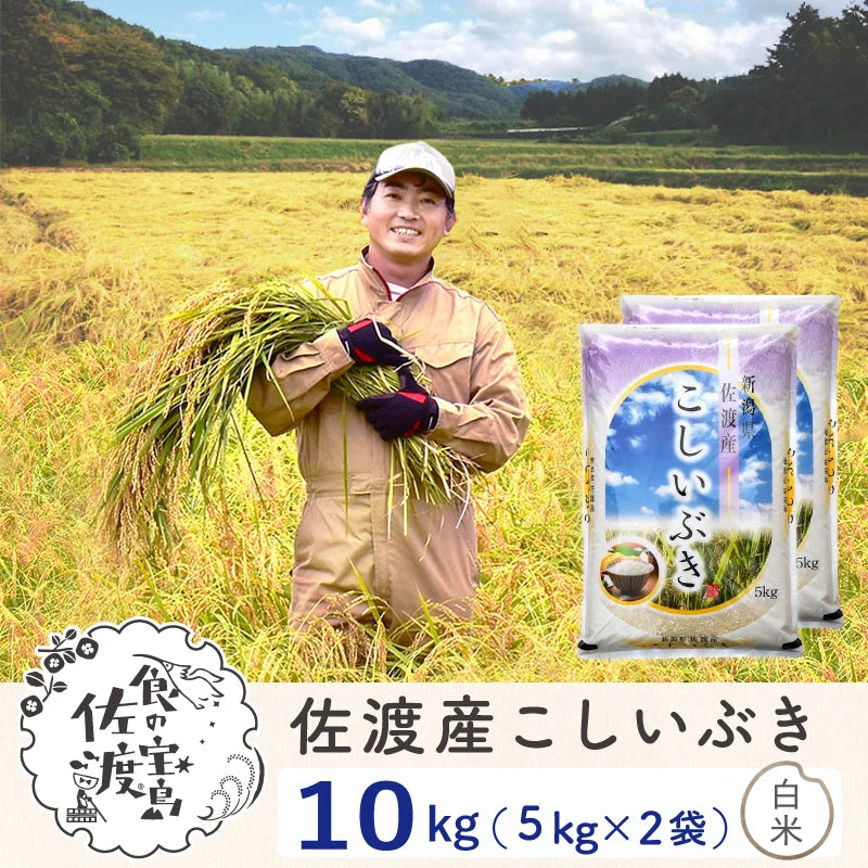 佐渡島産 こしいぶき 白米10Kg (5Kg×2袋) 【令和7年産】農薬5割減(9月上旬以降発送)