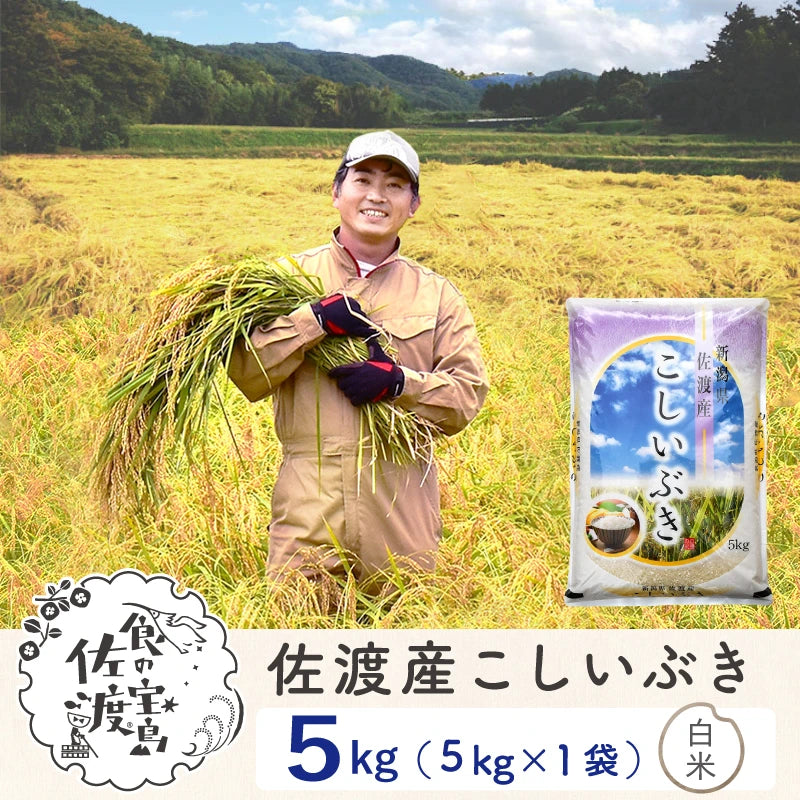 佐渡島産 こしいぶき 白米5Kg×1袋 【令和7年産】農薬5割減(9月上旬以降発送)