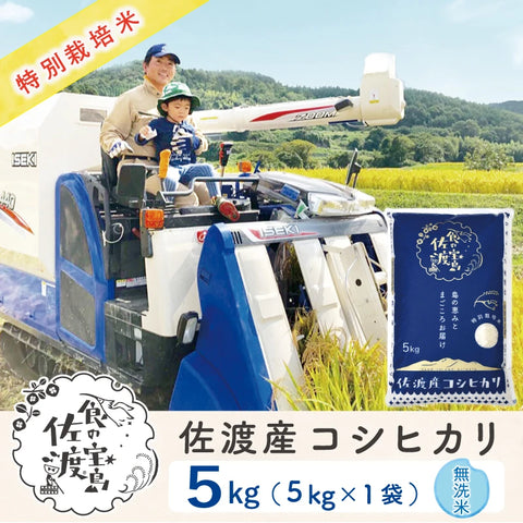 佐渡島産コシヒカリ 無洗米5Kg×1袋 【令和7年産】特別栽培米(9月下旬以降発送)