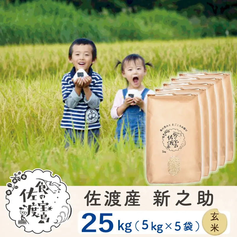 佐渡島産 新之助 玄米25Kg (5Kg×5袋）