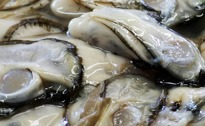 佐渡加茂湖産一年牡蠣 むき身150g×4袋