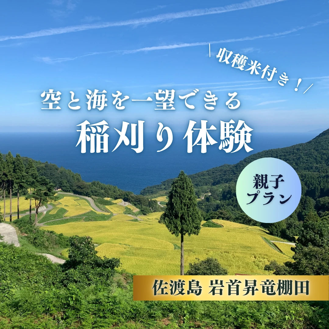 岩首昇竜棚田稲刈り体験
(親子プラン)