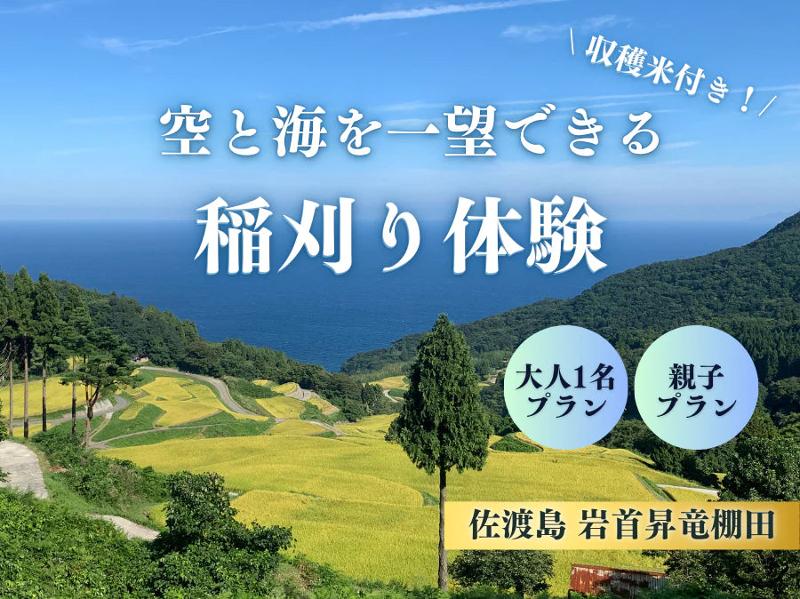 【体験レポート】黄金色が広がる絶景の棚田で稲刈り！