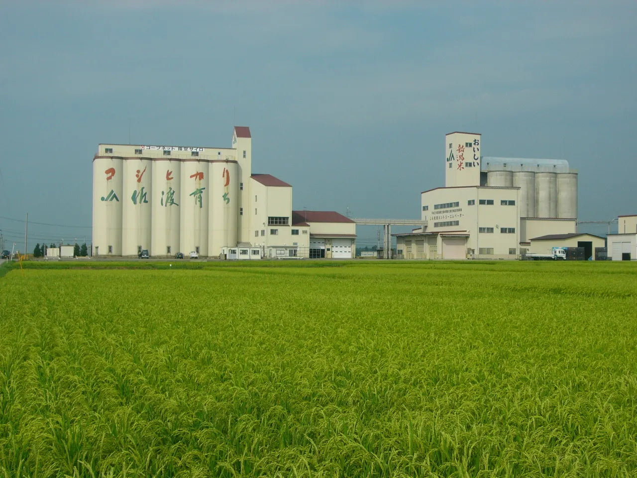 数量限定！新米先行予約】令和7年度産 朱鷺と暮らす郷 佐渡産