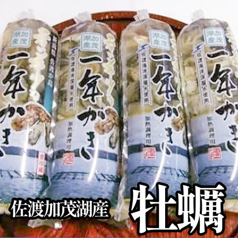 佐渡加茂湖産一年牡蠣 むき身150g×４袋