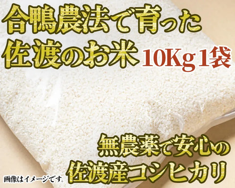 【令和5年産】高島農場の農薬不使用コシヒカリ10kg精米