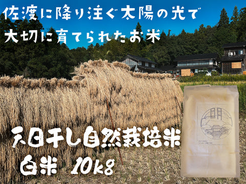 佐渡産コシヒカリ 天日干し自然栽培米
 （白米）10kg
