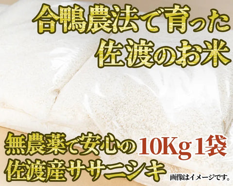 【令和5年産】高島農場の農薬不使用ササニシキ10kg 精米