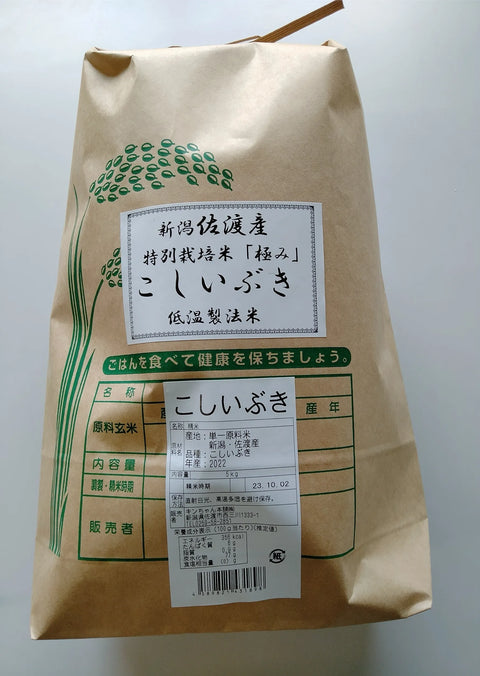 【精米】令和6年産 佐渡産こしいぶき５kg 特別栽培低温工法米