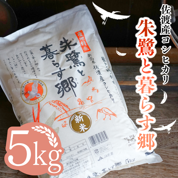 朱鷺と暮らす郷 佐渡産コシヒカリ 白米(5kg×1袋)