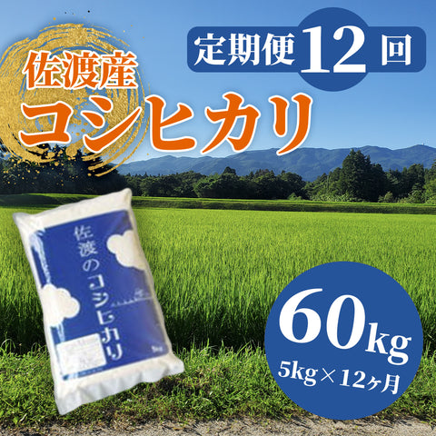 【定期便12回】佐渡産コシヒカリ 白米(5kg×1袋×12回)