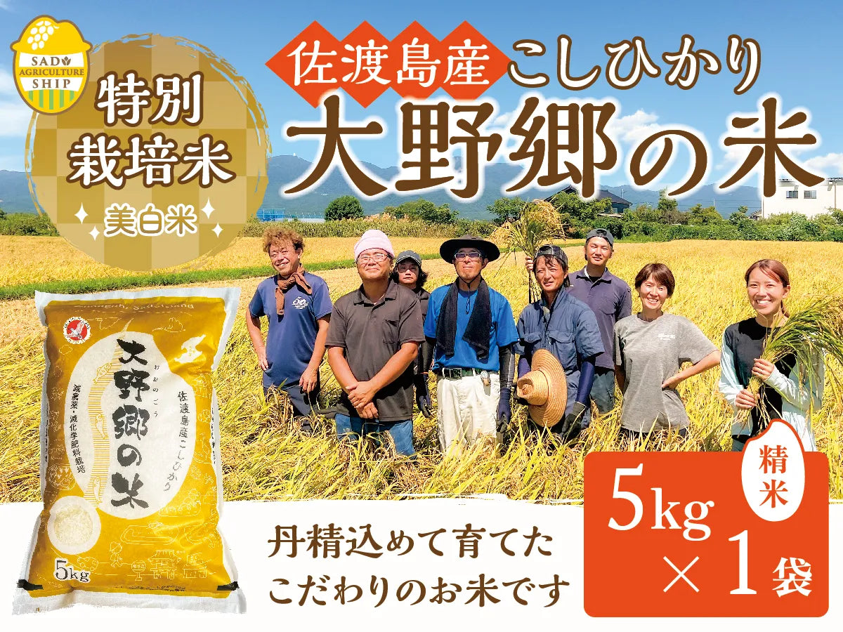 佐渡産 特別栽培米こしひかり 「大野郷の米」 精米５kg×１袋