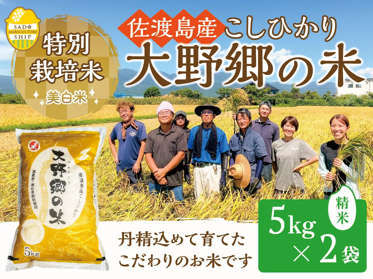 佐渡産 特別栽培米こしひかり 「大野郷の米」 精米５kg×2袋