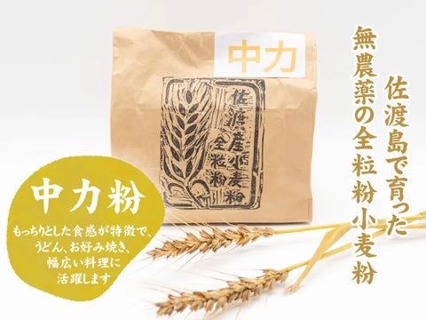 無農薬栽培！佐渡産全粒粉小麦粉 (中力粉)500g×3袋セット