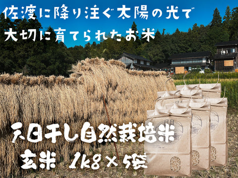 佐渡産コシヒカリ 天日干し自然栽培米
 （玄米）1kg × 5袋