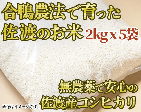 【令和5年産】高島農場の農薬不使用コシヒカリ2kg×5袋 精米