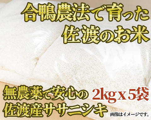 【令和5年産】高島農場の農薬不使用ササニシキ2kg×5袋 精米