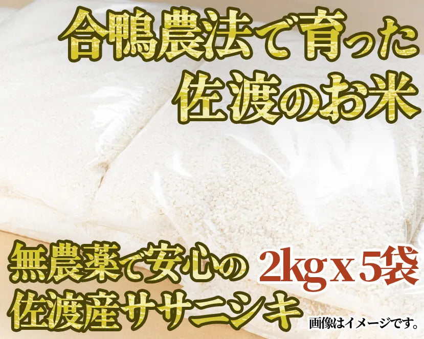 【令和5年産】高島農場の農薬不使用ササニシキ2kg×5袋 精米