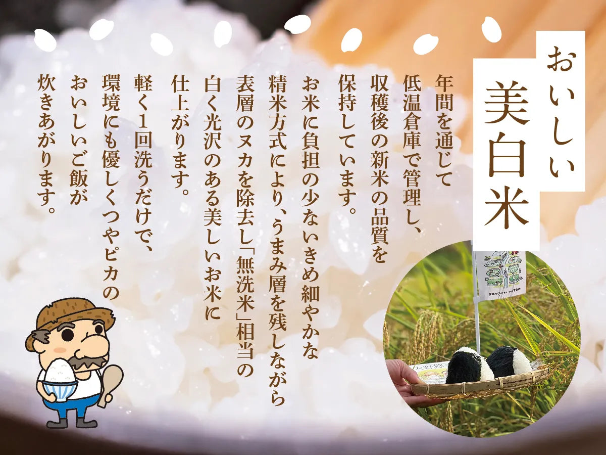 佐渡産 特別栽培米こしひかり 「大野郷の米」 精米５kg×１袋