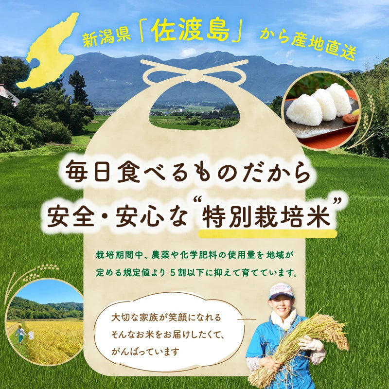 〈先行予約〉佐渡島産 コシヒカリ
 無洗米10Kg (5Kg×2袋）
 【令和7年産】特別栽培米(9月下旬以降発送)