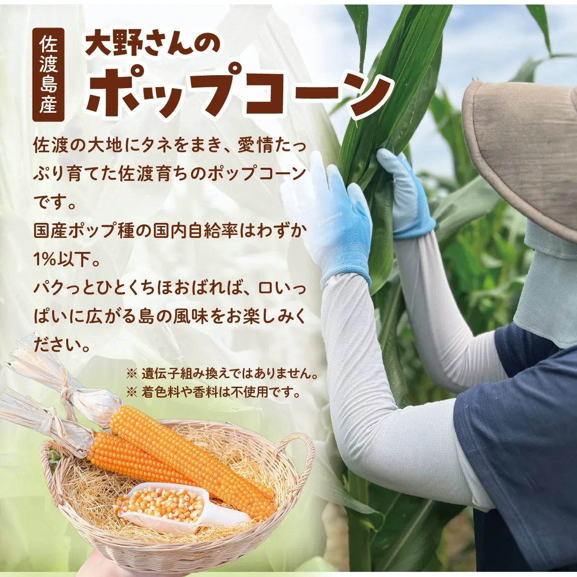 佐渡島産大野さんのポップコーン2種(塩バター・キャラメル)５袋セット