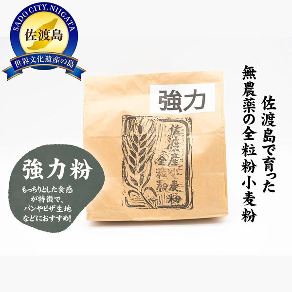 小麦粉@ 無農薬栽培！佐渡産全粒粉小麦粉 (強力粉)500g×3袋セット