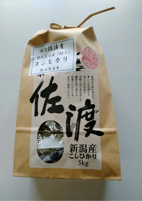 【精米】令和6年産 佐渡産コシヒカリ５kg  特別栽培低温工法米