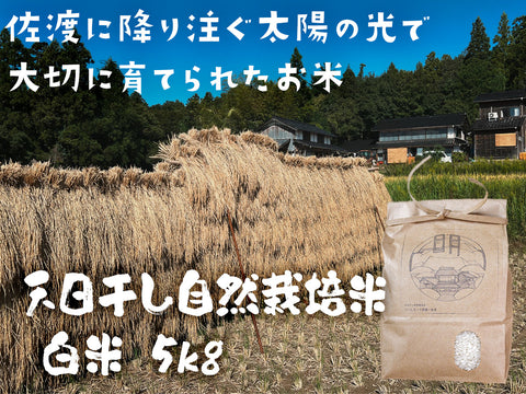 佐渡産コシヒカリ 天日干し自然栽培米
 （白米）5kg