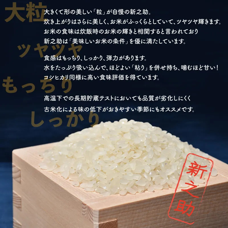 佐渡島産 新之助 
 無洗米10Kg (5Kg×2袋）