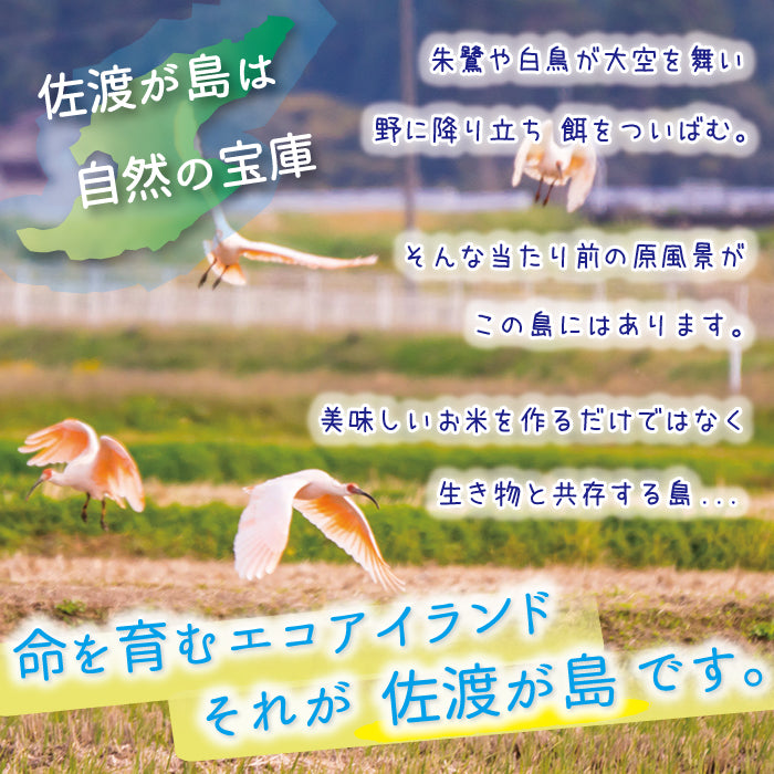 佐渡島産 コシヒカリ
玄米10Kg (5Kg×2袋）
《特別栽培米》