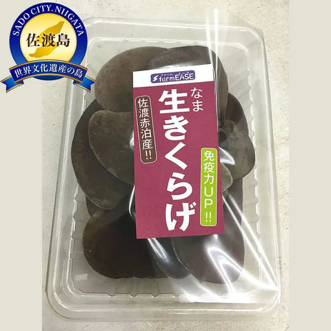 きくらげ(生) 2パック