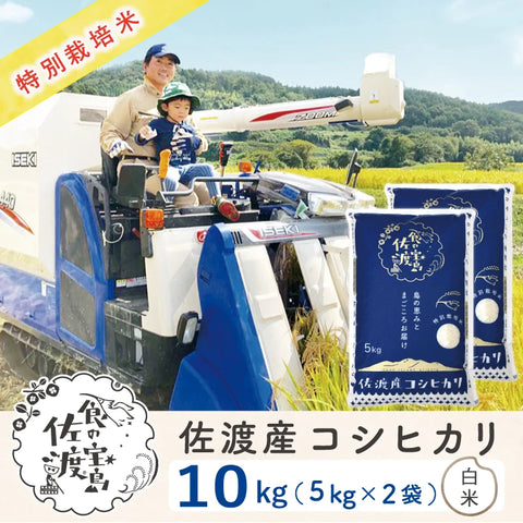 〈先行予約〉佐渡島産 コシヒカリ
 白米10Kg (5Kg×2袋）
 【令和7年産】特別栽培米(9月下旬以降発送)