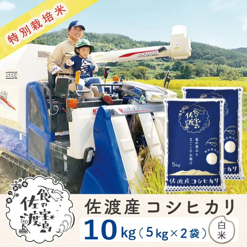 〈先行予約〉佐渡島産 コシヒカリ
 白米10Kg (5Kg×2袋）
 【令和7年産】特別栽培米(9月下旬以降発送)
