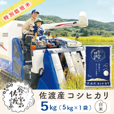 〈先行予約〉佐渡島産 コシヒカリ
 白米5Kg×1袋
  【令和7年産】特別栽培米(9月下旬以降発送)